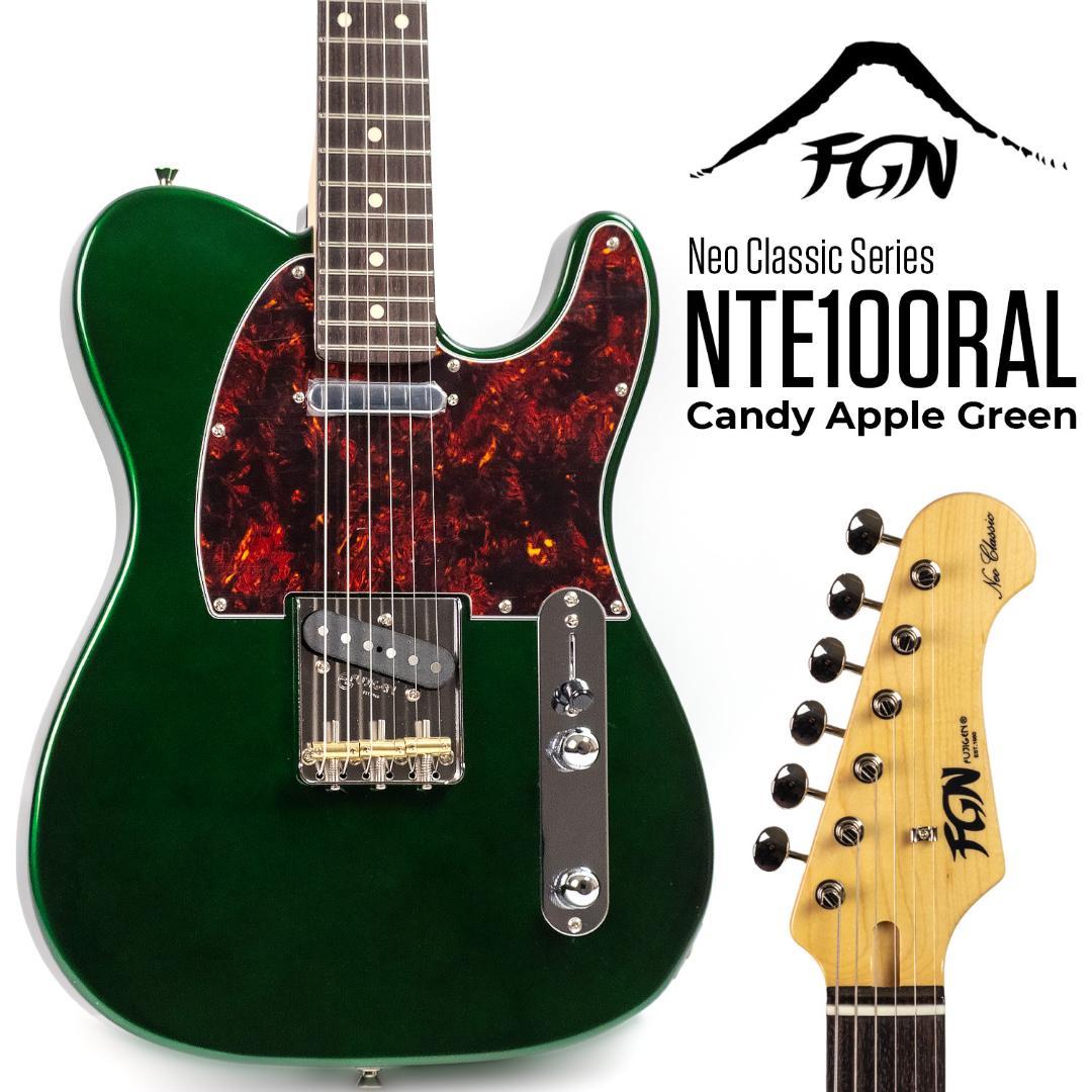 FUJIGEN NTE100RAL-CAG フジゲン エレキギター