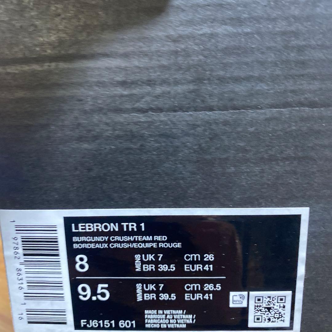 NIKE ナイキ LeBron レブロン TR1