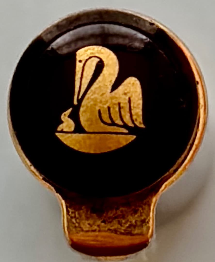 ペリカン Pelikan M250 万年筆 ブラック 14K中字