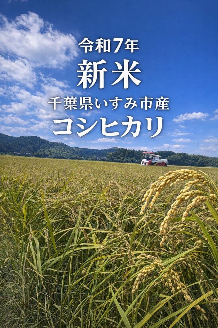 ♡数量限定♡令和7年千葉県いすみ市産コシヒカリ 15kg白米　無洗米　天皇献上米