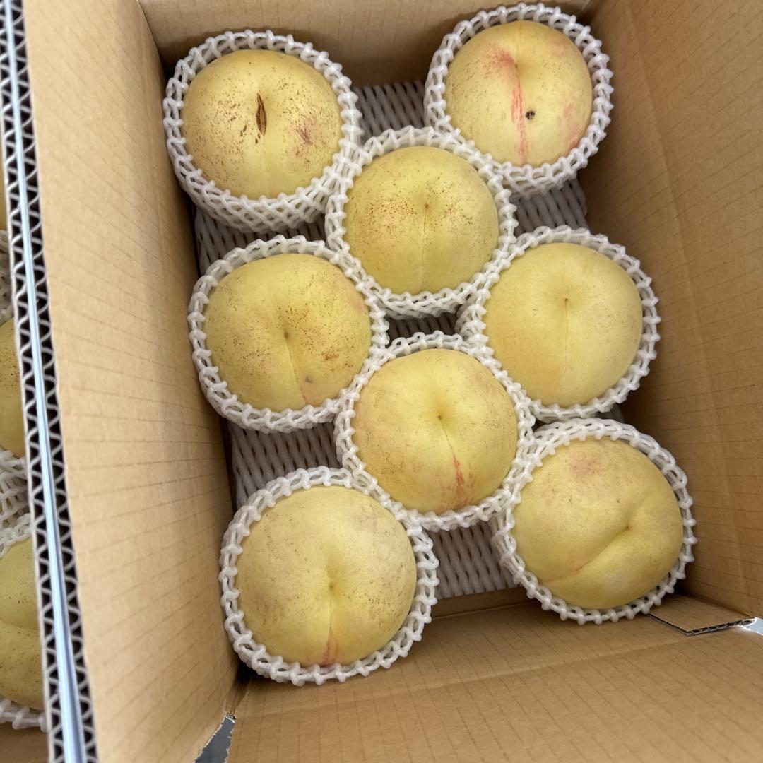 幻の桃　シーエックス