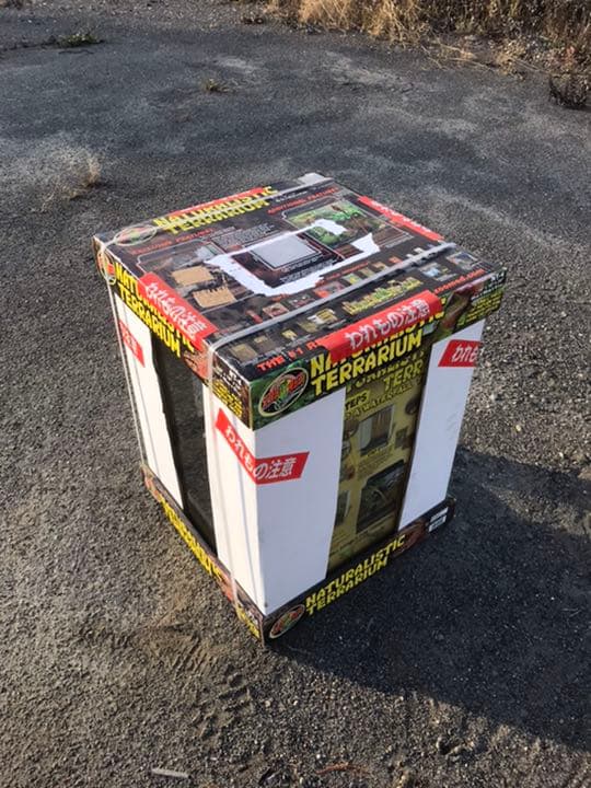 爬虫類 両生類 観賞用ガラスケース