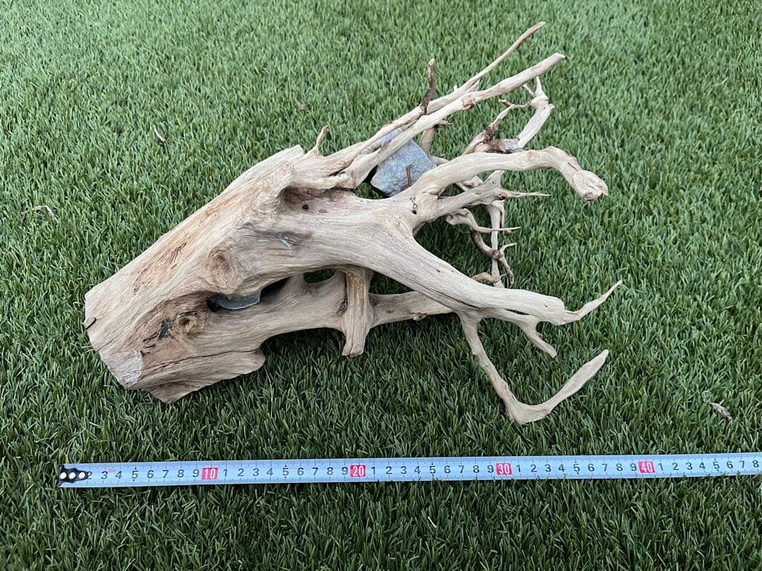 流木 約30cm 自然な形状