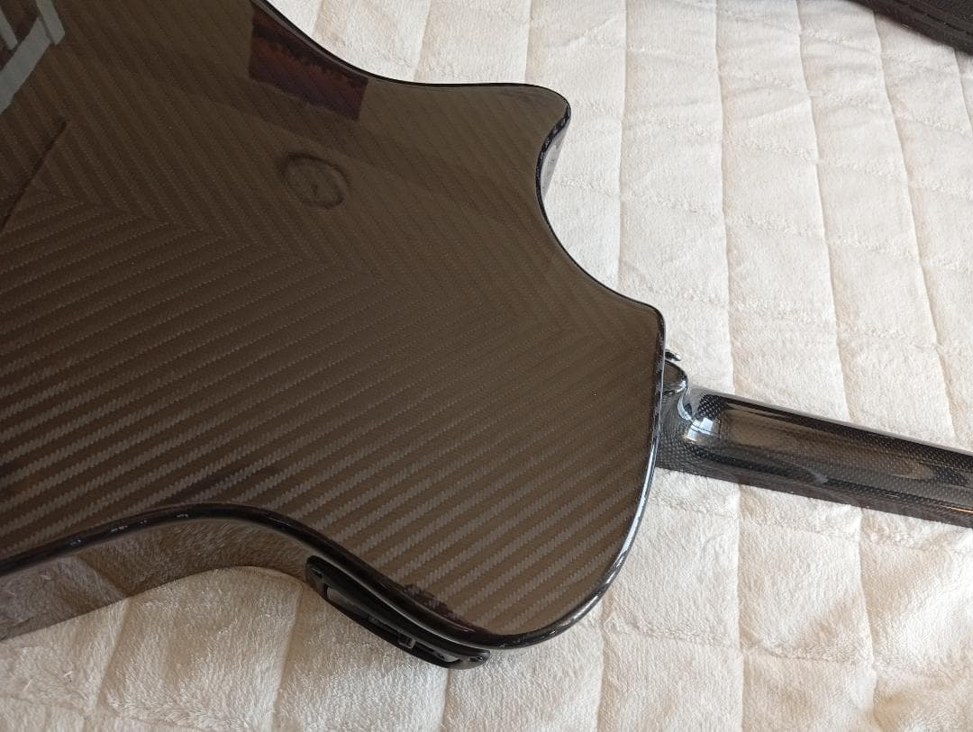 RainSong “Made in U.S.A.”エレアコ w/OHC EX+