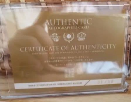 髙橋宏斗　直筆サインカード　ルーキー　高橋宏斗　中日ドラゴンズ