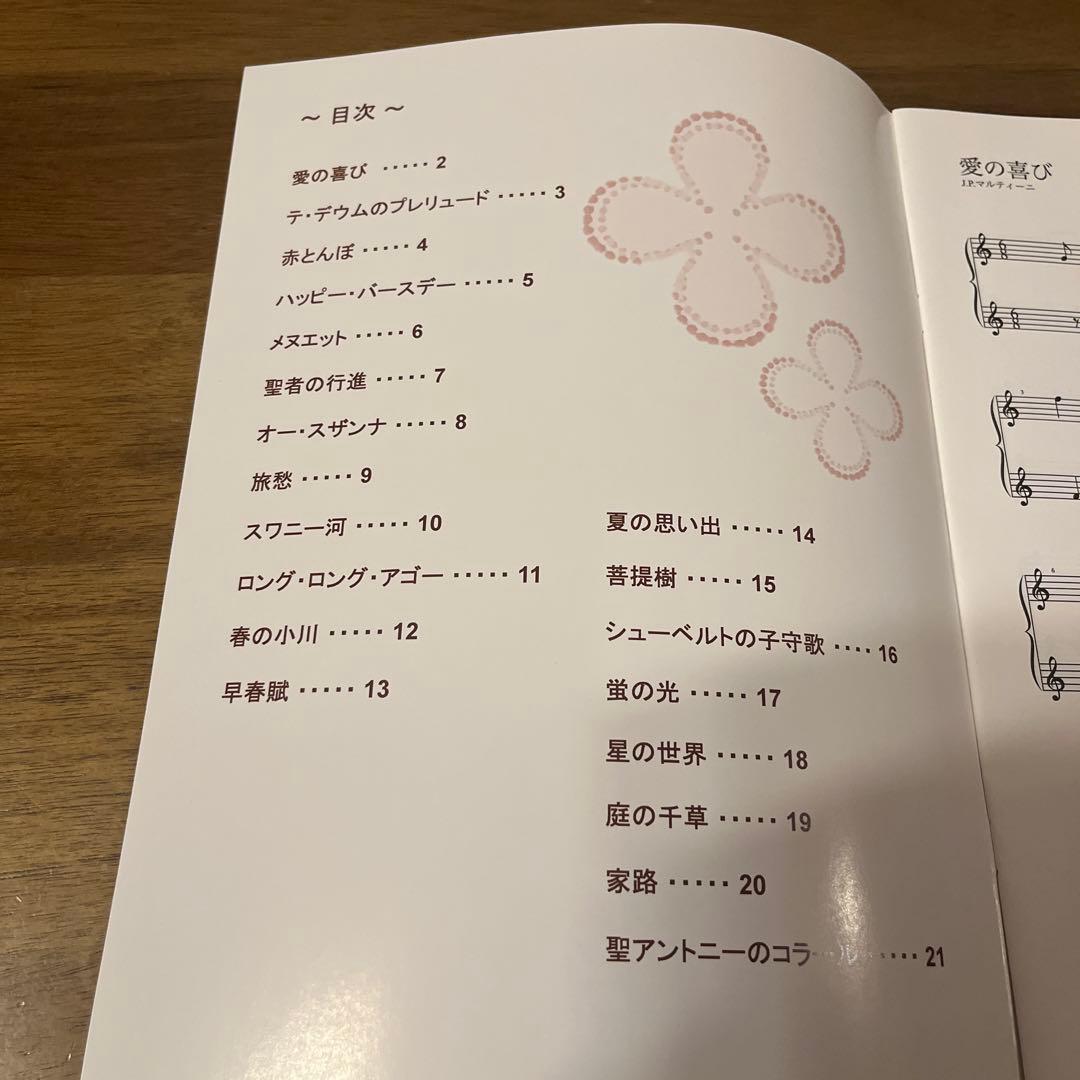 グレース　ベイビーハープ 12弦　説明書
