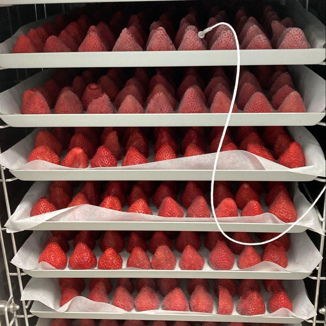 【完熟・希少】冷凍いちご よつぼし20kg（1000g×20袋）業務用、大容量