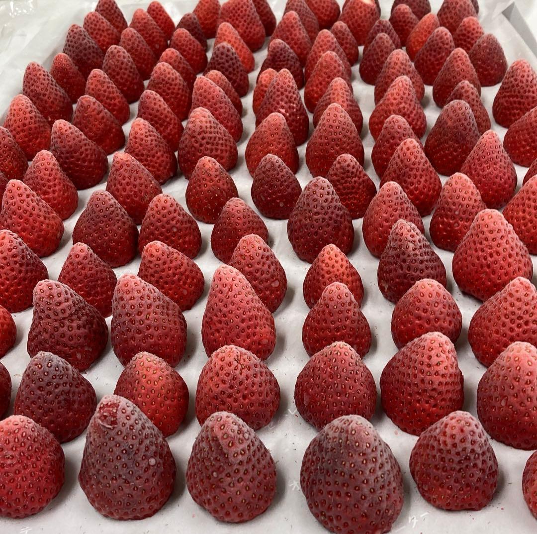 【完熟・希少】冷凍いちご よつぼし20kg（1000g×20袋）業務用、大容量