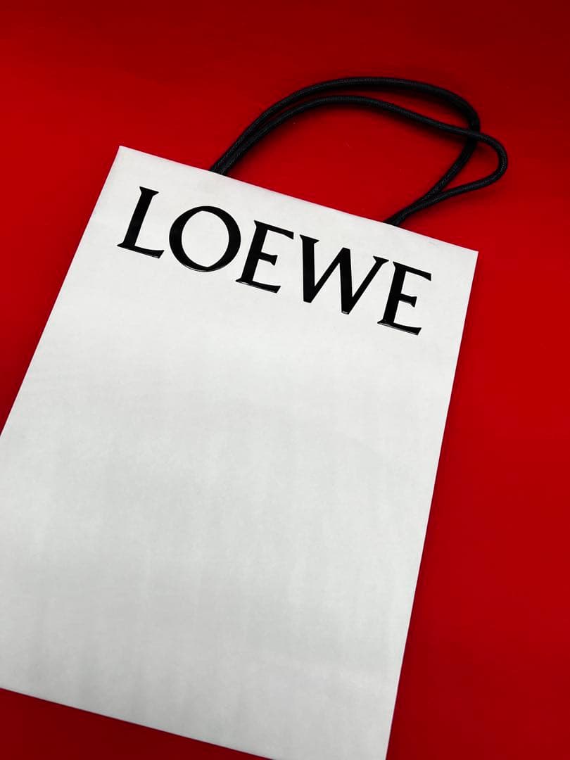 ロエベ　アナグラム衣装カバー　ガーメント×2