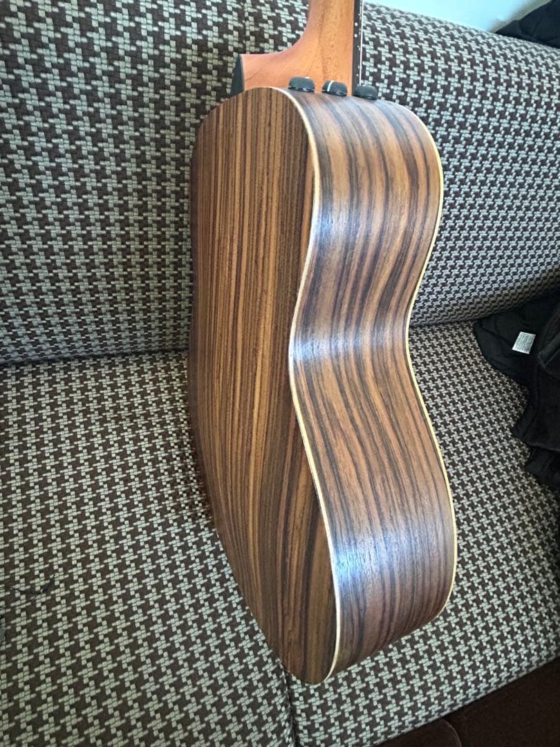 Taylor GS mini 50周年記念モデル