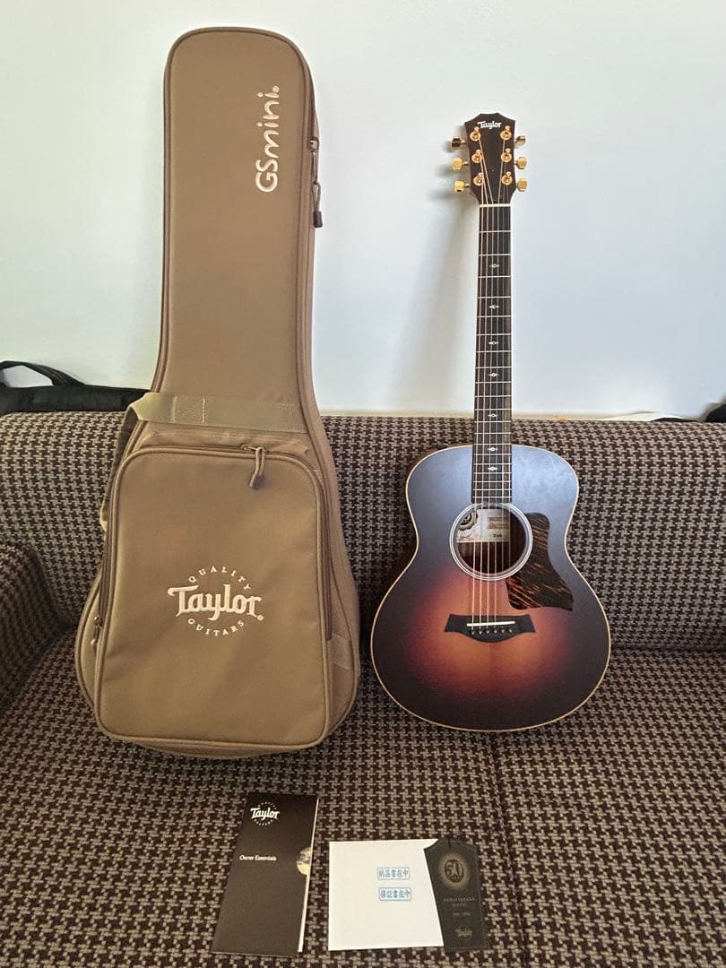 Taylor GS mini 50周年記念モデル