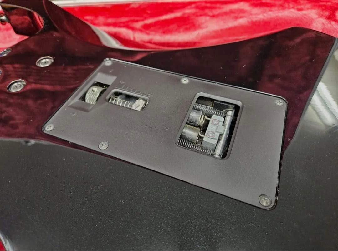 アイバニーズ ・Ibanez RG2550ZA/MYM 　ハードケース付