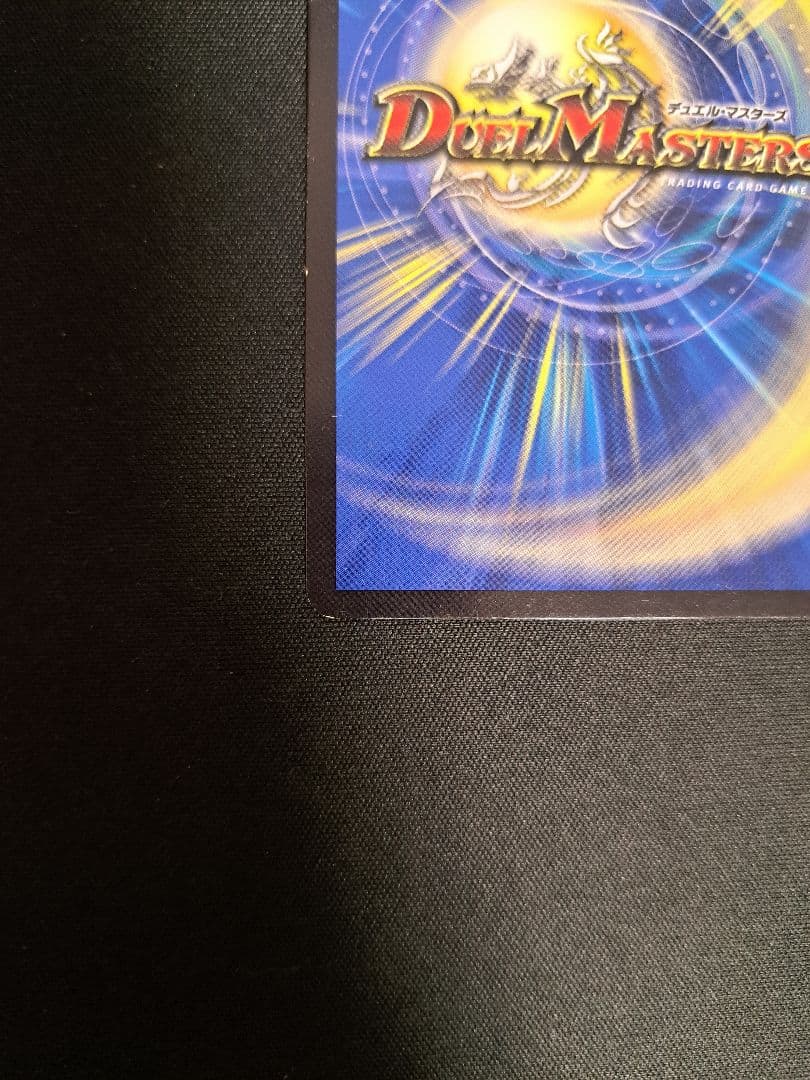 神聖龍 エモーショナル・ハードコア 金