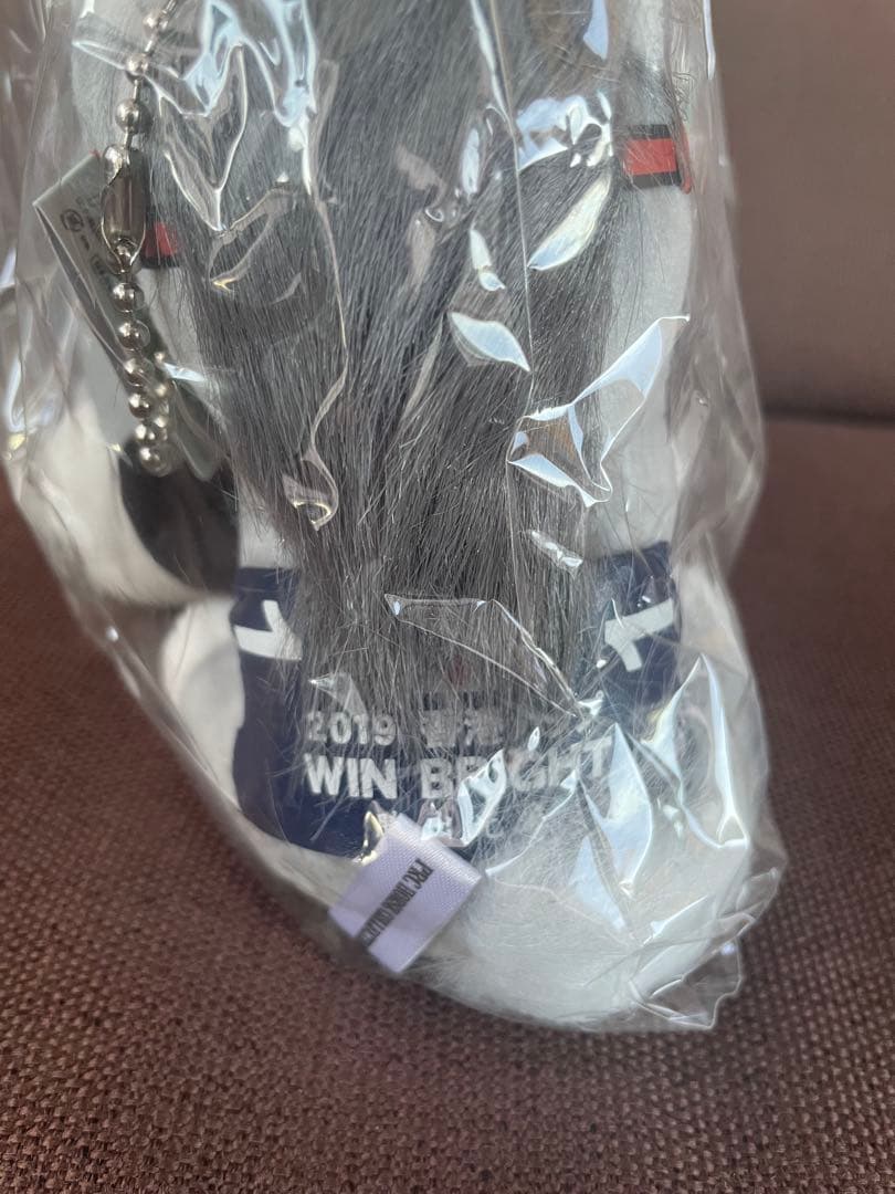 新品　ウインブライト　香港カップ　アイドルホース　セット　香港国際競走