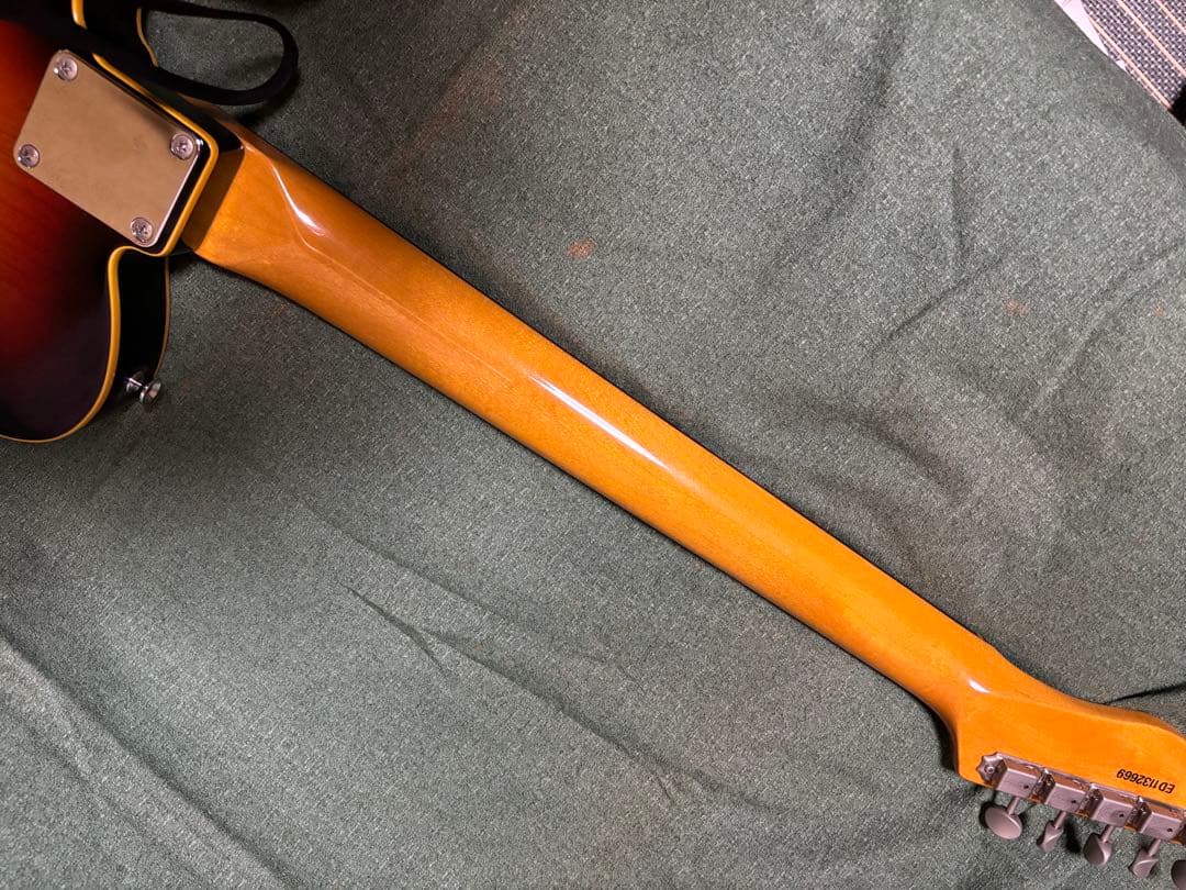 Edwards E-TE-100CTM ラッカーフィニッシュ美品