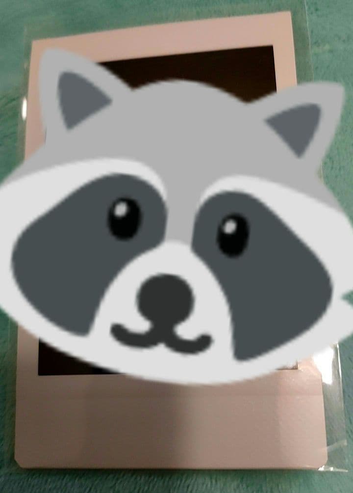 THE BOYZ ソヌ サイン入り ポラロイド