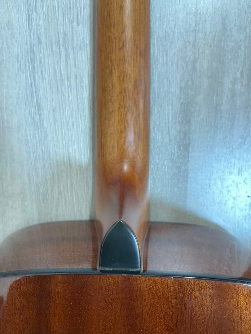 【送料込】Stafford SF-200F FISHMANエレアコ仕様