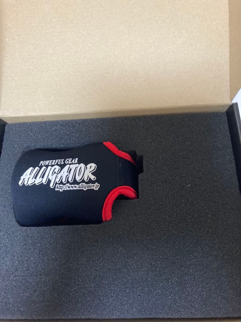 アリゲーター技研　バトル20GT シルバー