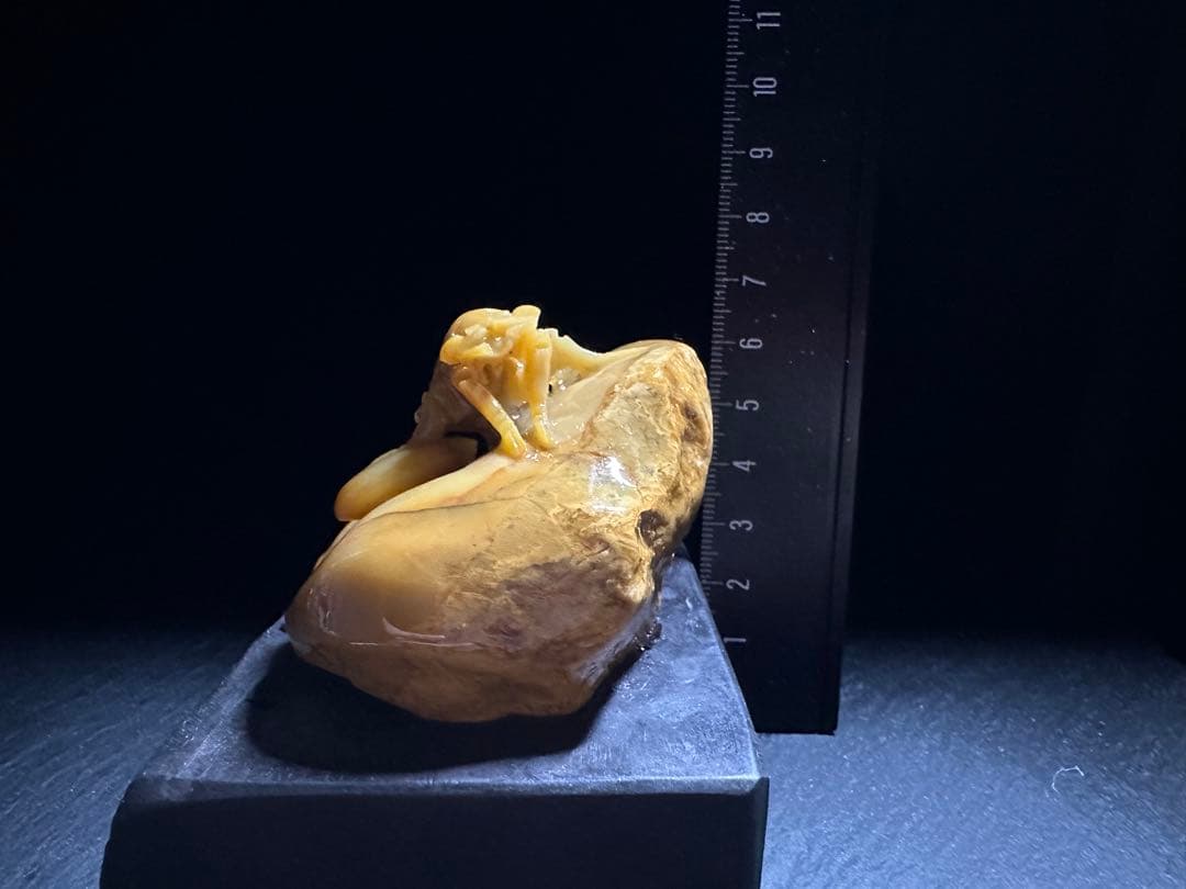 36寿山石　 田黄　蝉　置物　縁起物　手彫り　原石