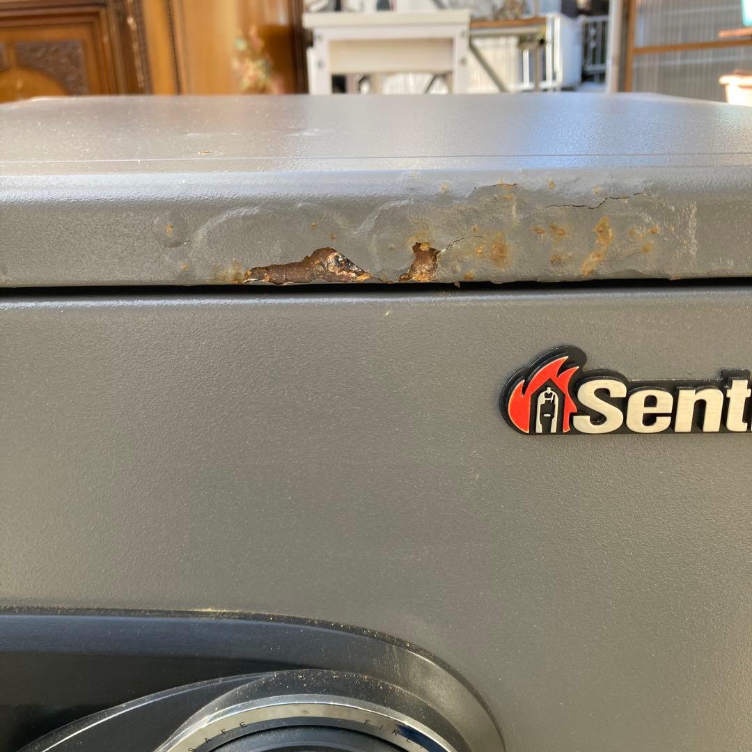 ジ*き様 SentrySafe デジタル式 耐火金庫 テンキー式 AW-5697