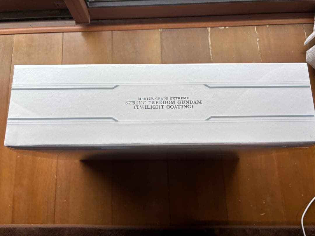 MGEX ストライクフリーダムガンダム twilightcoating