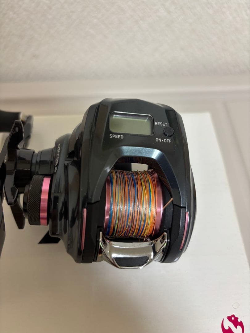 ダイワ　紅牙IC 100PL-RM