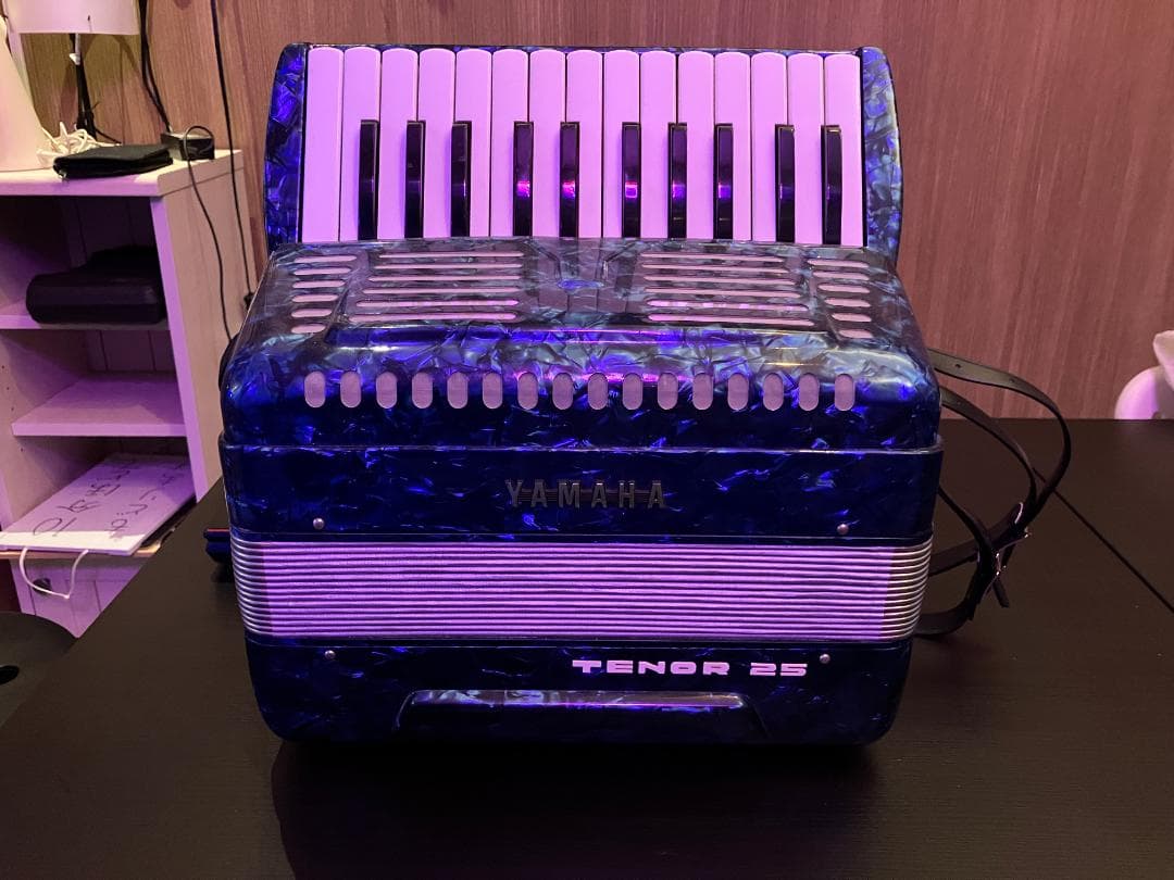 YAMAHA TENOR 25 アコーディオン