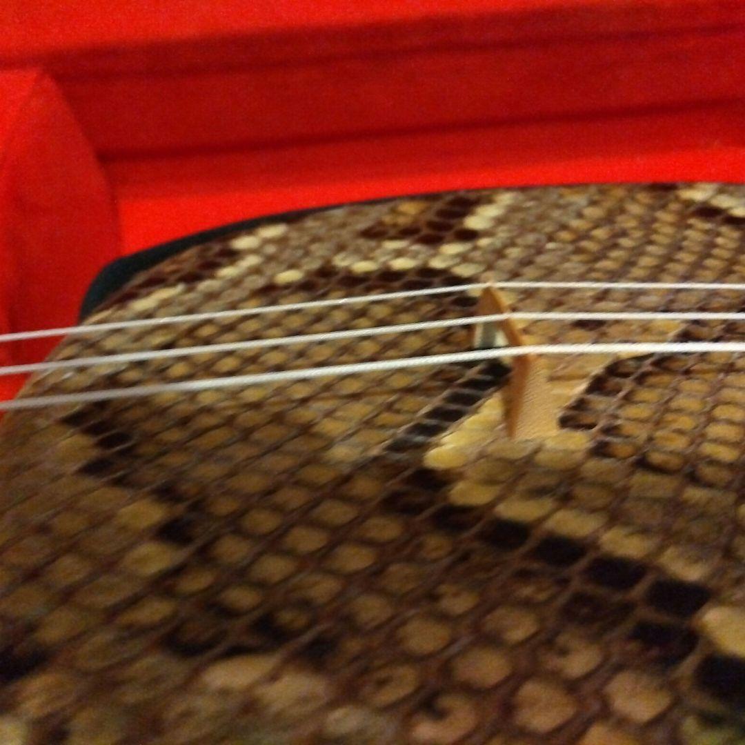 三線本体 蛇皮 金色刺繍 ケース付き