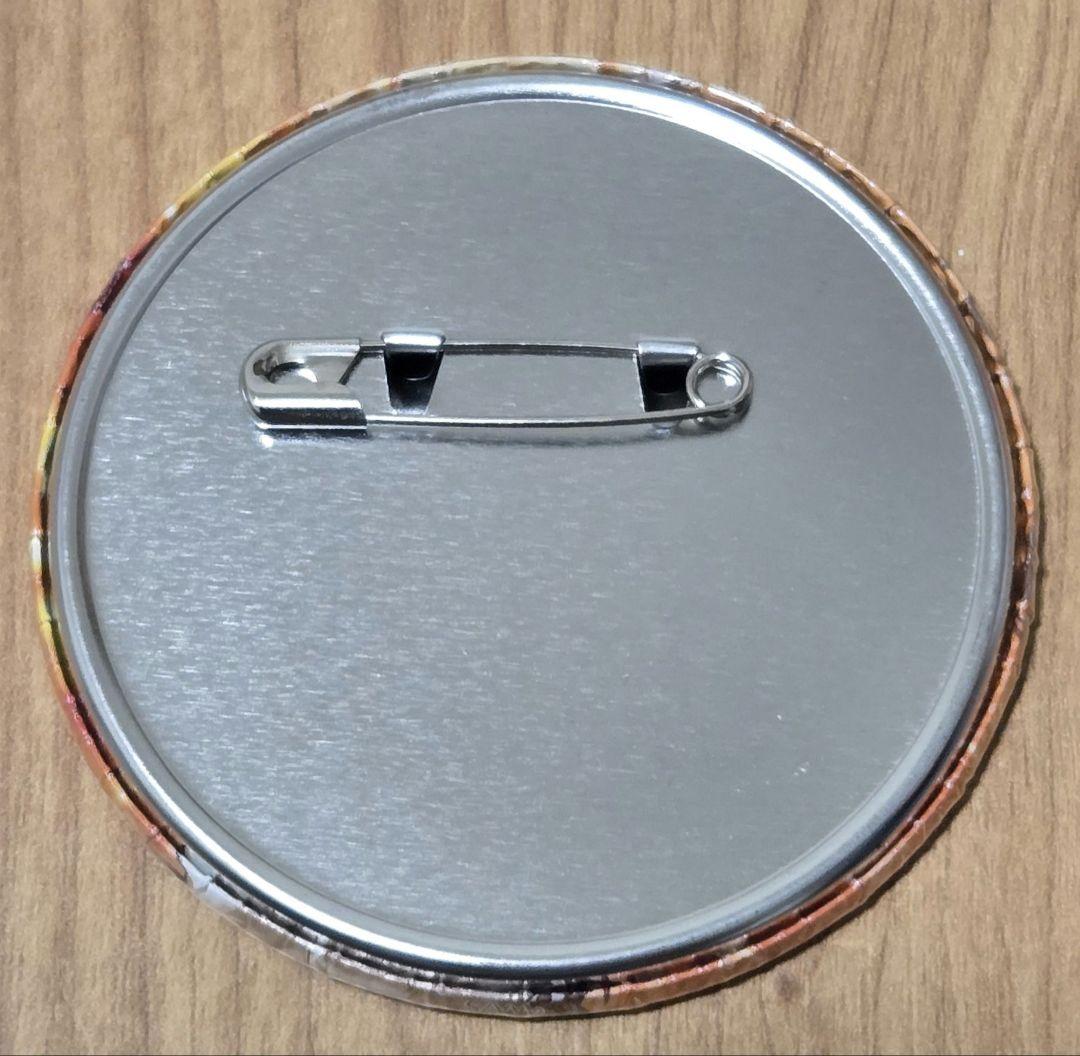 家庭教師ヒットマンREBORN! コレクション缶バッジ 綱吉 ツナ