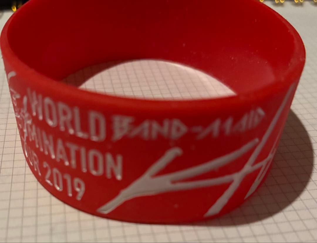 ラバーバンド WORLD DOMINATION TOUR 2019 ばんどめいど