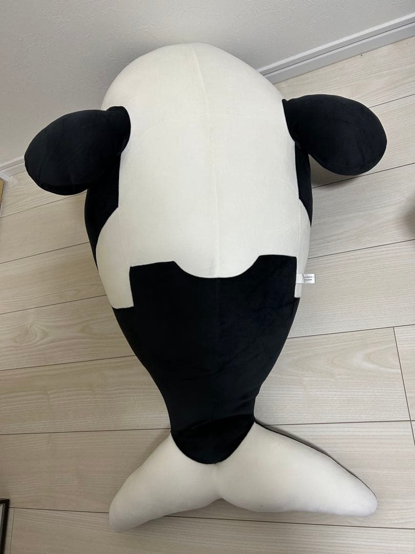 名古屋港水族館　限定　シャチ　巨大ぬいぐるみくじ特賞