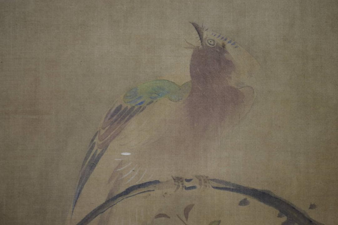 模写/熊代熊斐/椿に小禽図/布袋屋掛軸HI-946