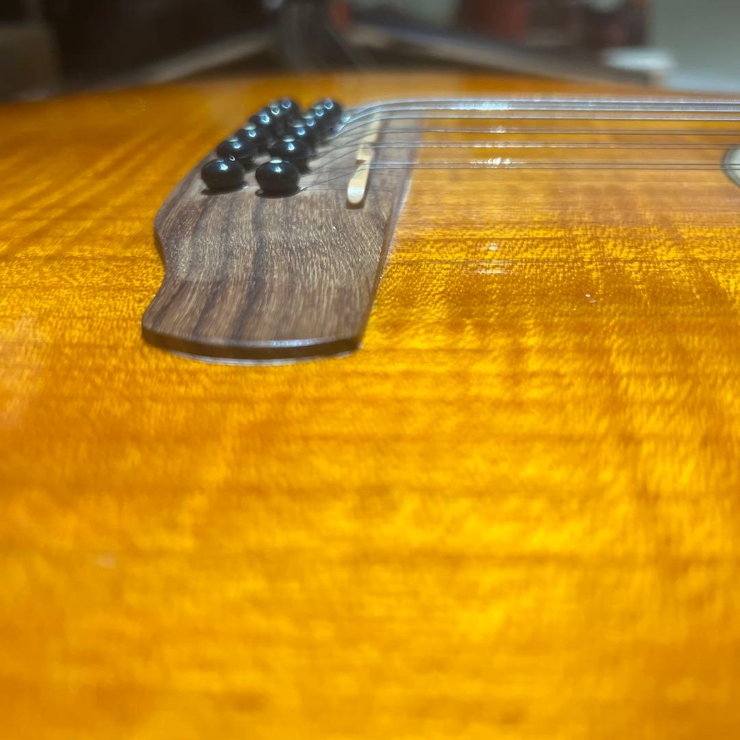 Aria 12弦 エレアコ FET12 KORG slimpitchおまけ