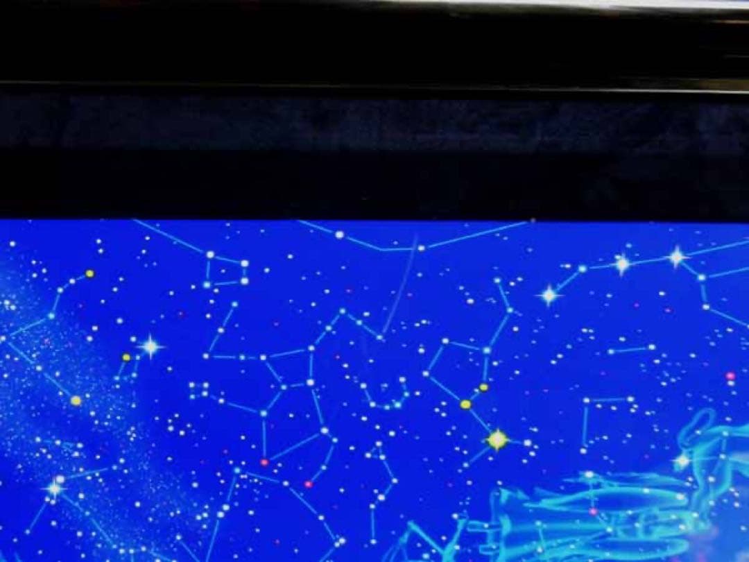 激レア！クリスチャン・リース・ラッセン「ゾディアック(S)」星座 イルカ 海