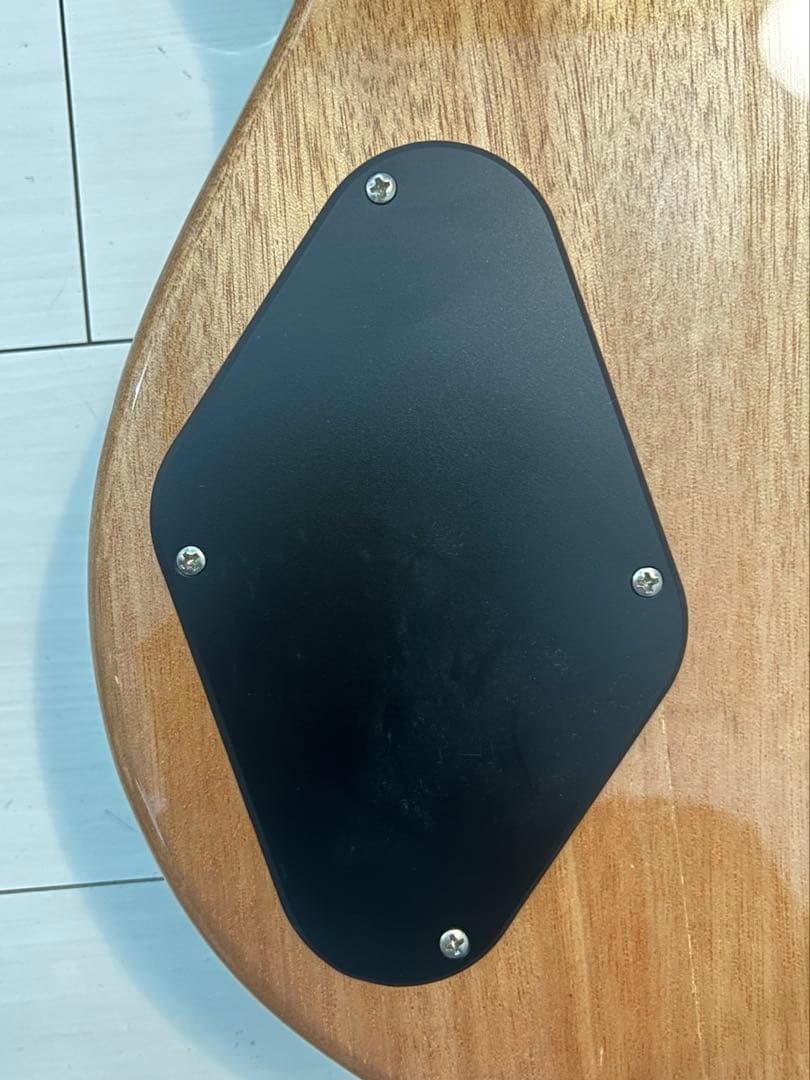 ギター Paul Reed Smith(PRS) SE ZACH MYERS