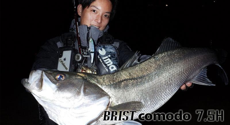【Fishman】 BRIST comodo 7.5H（ブリスト コモド）/*