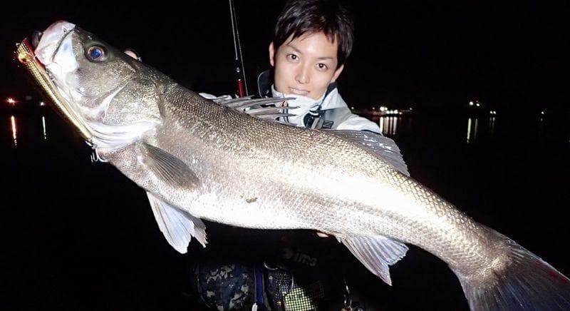 【Fishman】 BRIST comodo 7.5H（ブリスト コモド）/*