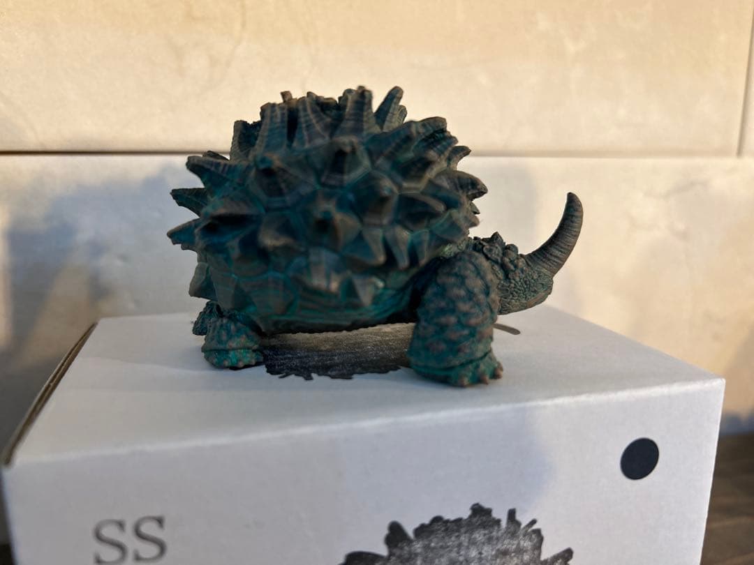 OZWRT✖️長谷川ナーセリー デオスコレア・エラスモテリウム