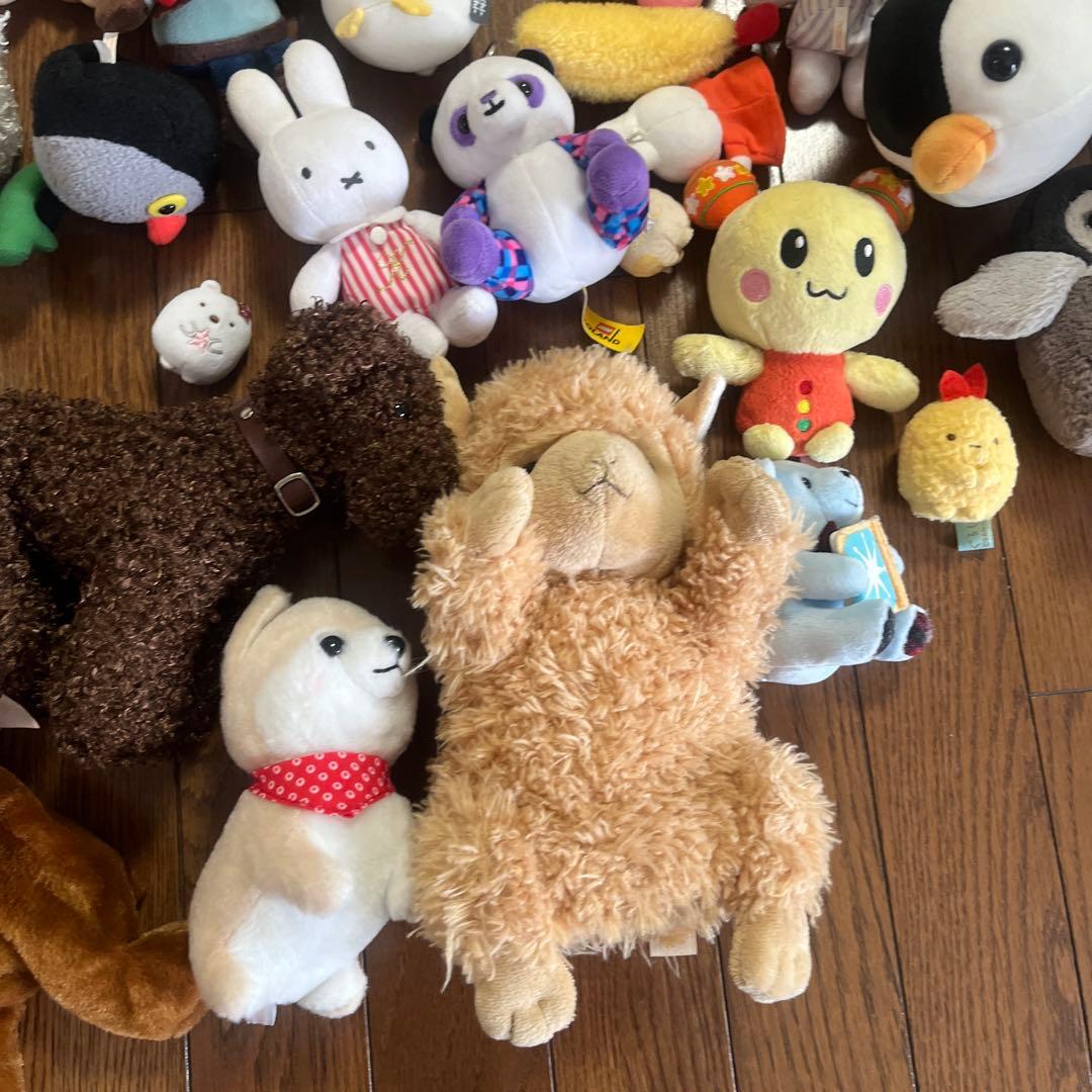 ぬいぐるみ まとめ売り ポケモン アンパンマン ミッフィー すみっこぐらし 等