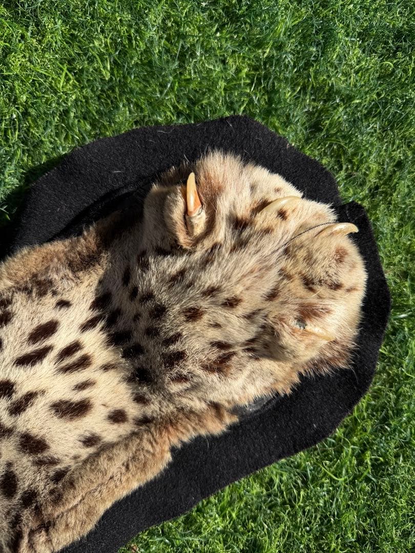 ヒョウの剥製 大型