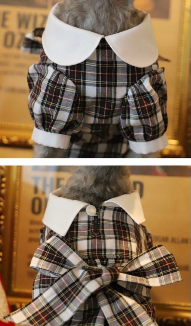 アトリエgg ドロシー　16