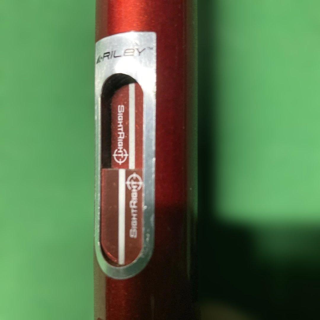 Riley製　エクステンション　SIGHTRIGHT