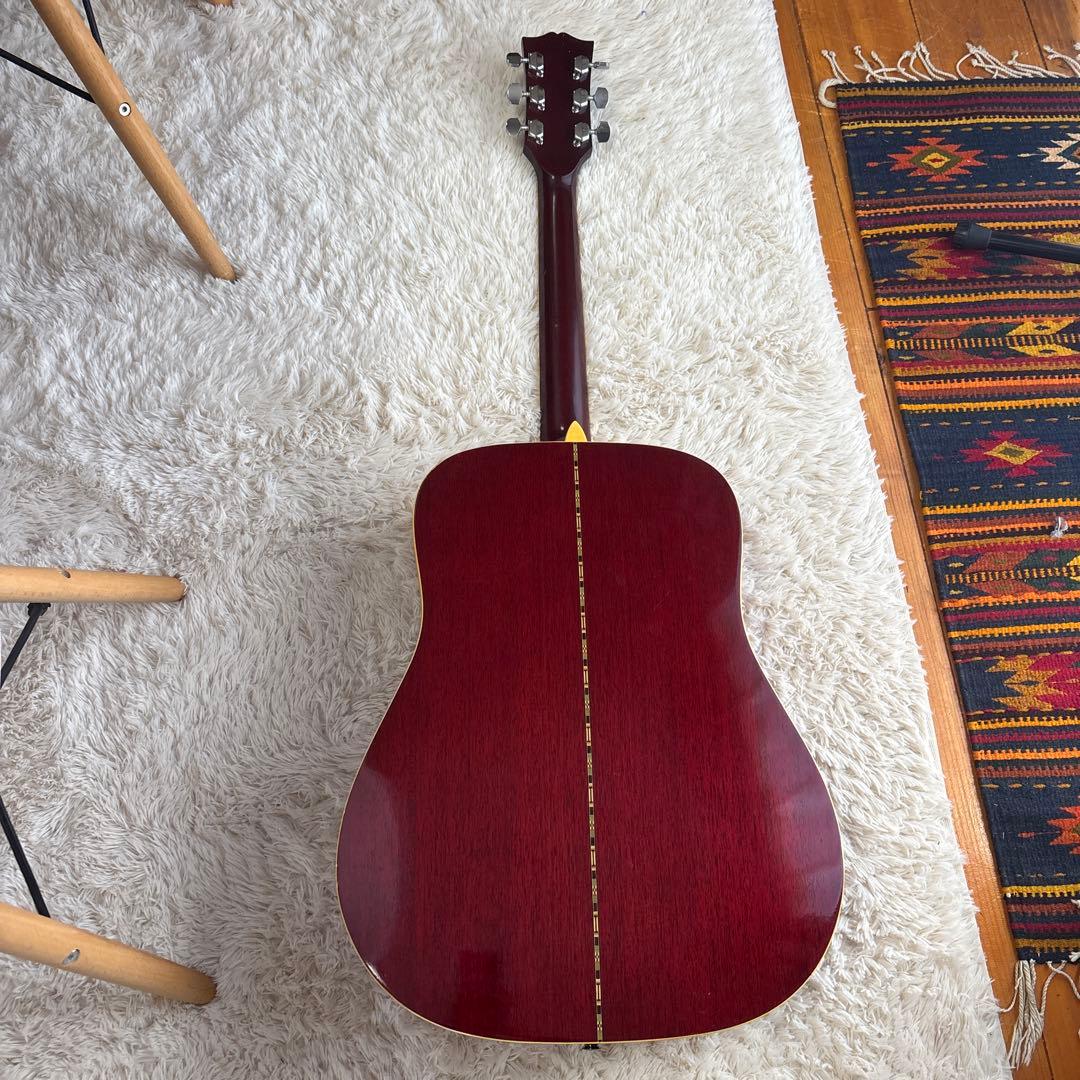 エレアコ仕様 Morris アコースティックギター