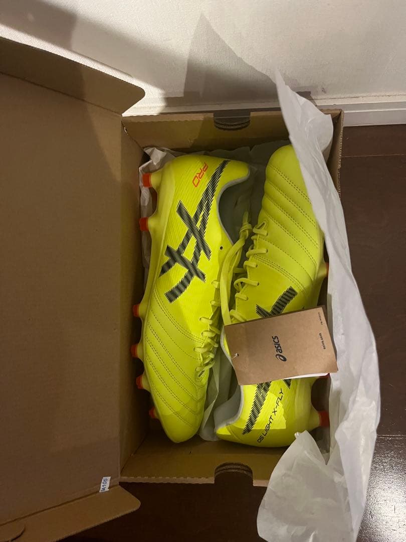 シューズ DS LIGHT X-FLY PRO2 PARIS 28.0