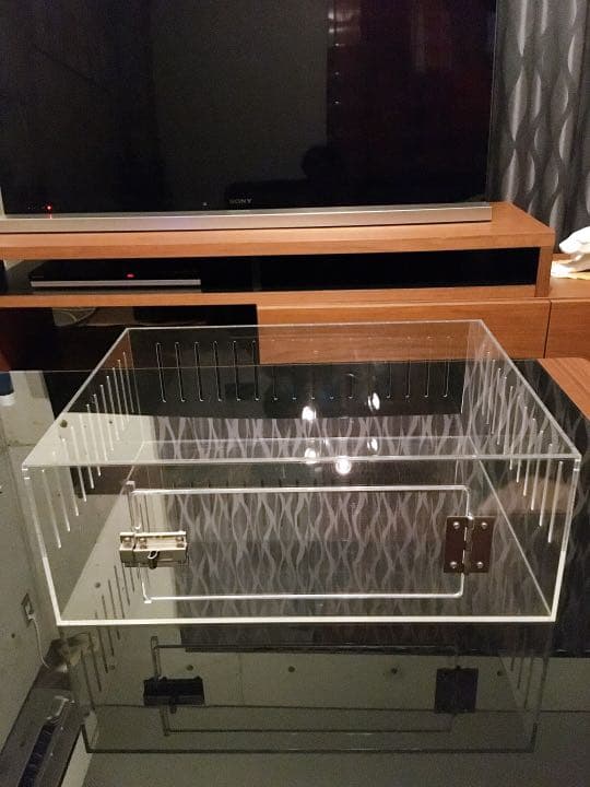 爬虫類ゲージ アクリルゲージ 【 No.3 】