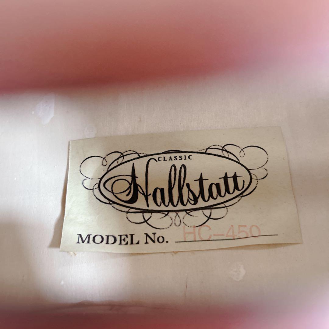 【未使用級】Hallstatt ハルシュタット チェロ HC-450 弓 弦