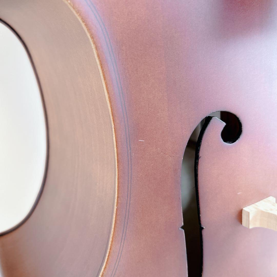 【未使用級】Hallstatt ハルシュタット チェロ HC-450 弓 弦