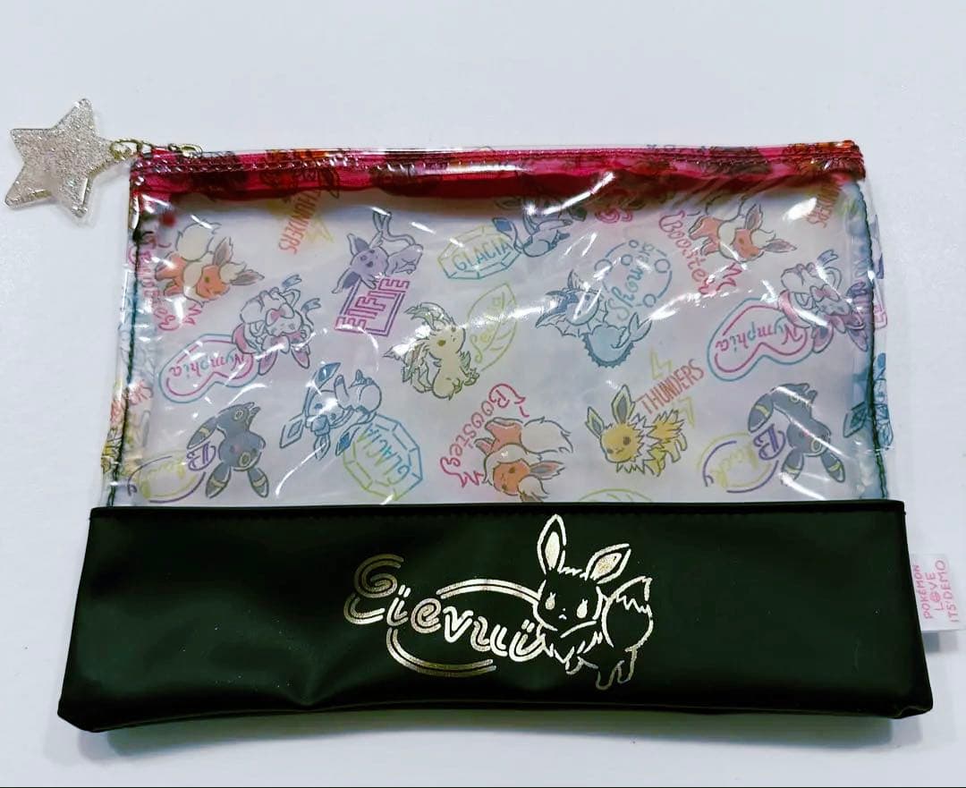 イッツデモ　ポケモン　ビニールポーチ