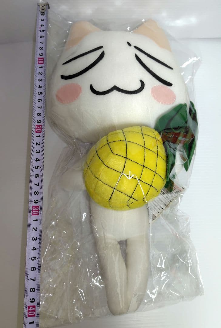 どこでもいっしょ　超でっかいぬいぐるみ　トロとパイナップル編　タグ付き美品