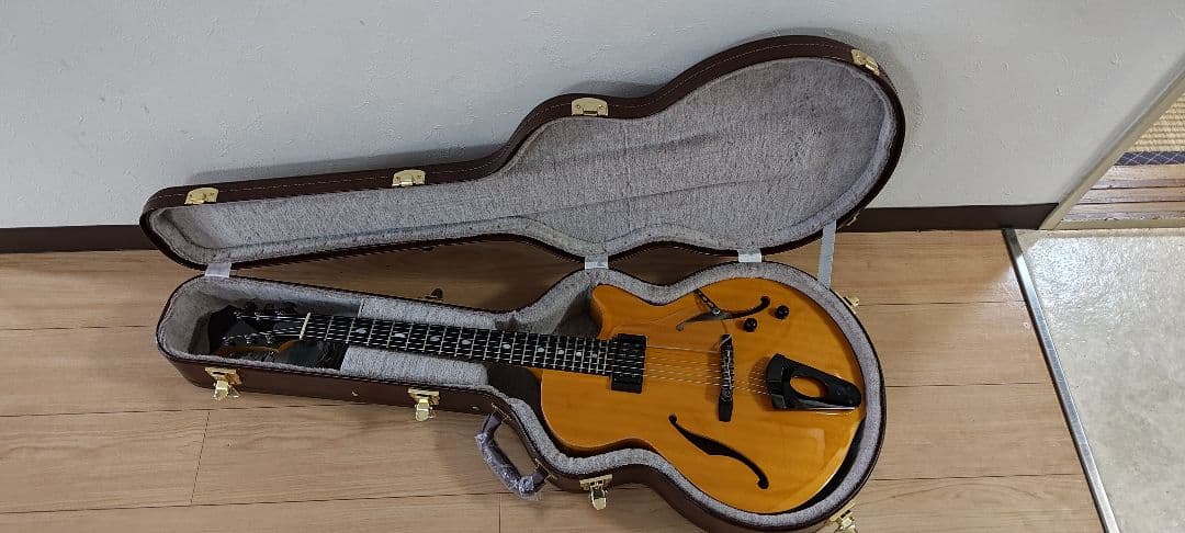 【美品】westville solar ハードケース付